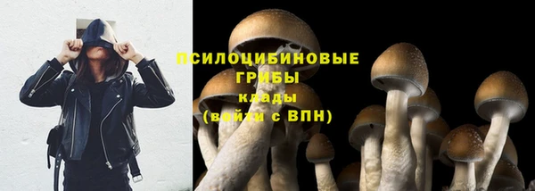 прущий лед Бородино