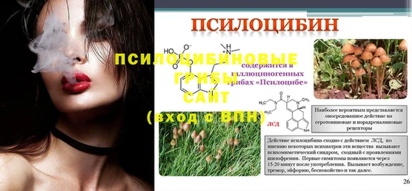прущий лед Бородино